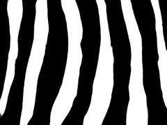 Simple Zebra Pattern