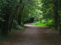 Photo of path near Wellington Monument, Somerset, England