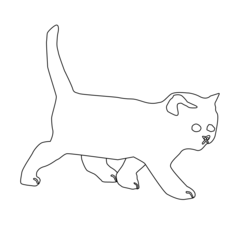 Cat Outline