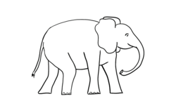 Elephant Outline