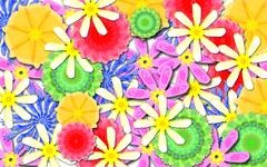 Colourful Flower Pattern