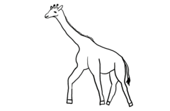 Giraffe Walking Outline
