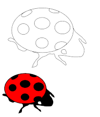Ladybird Outline