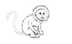 Monkey Outline