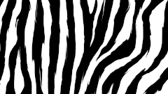 New Zebra Pattern