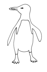 Penguin Outline