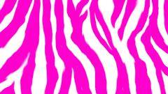 Pink Zebra Pattern