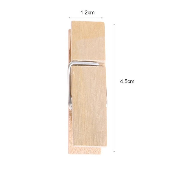 Clothes Pegs (small and large sizes to choose)