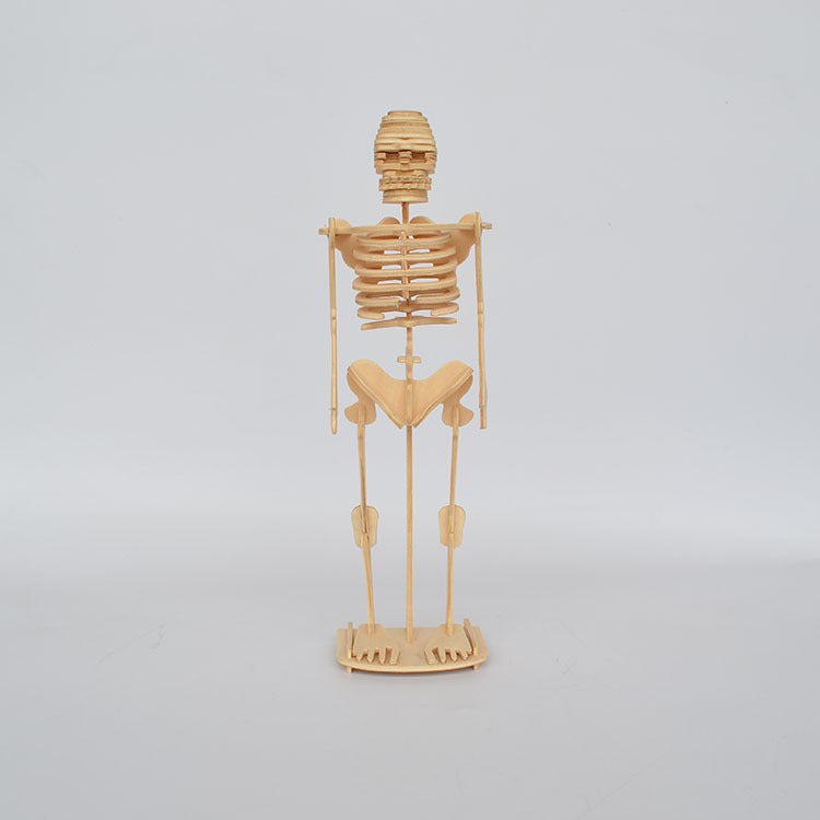 Artificial Skeleton Toys 3D Human Body