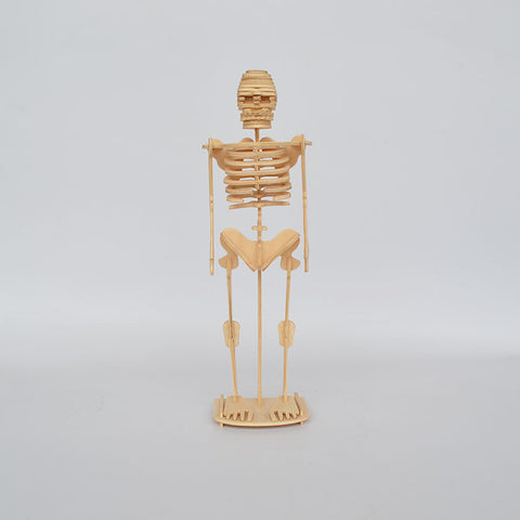 Artificial Skeleton Toys 3D Human Body