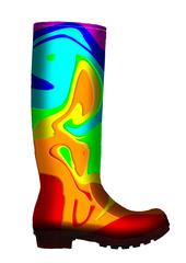 Rainbow Wellies