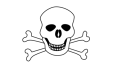 Skull Outline