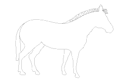 Zebra Outline Without Stripes