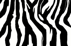 Zebra Pattern